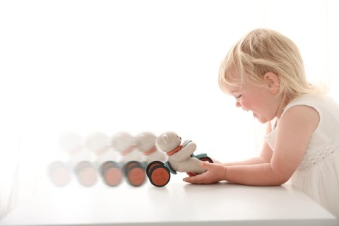 Miś Push and Go TOLO Bio 12m+