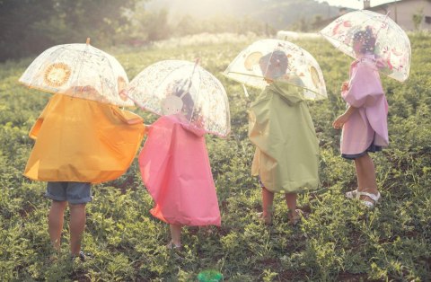 Parasol przeciwdeszczowy Królik SASSI